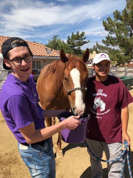 SRD Straightening Reins