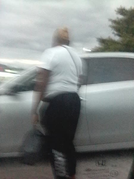 Starr& Alleycats counseling and grief support program