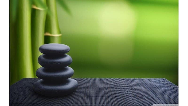 Stephanie Johnson Therapy