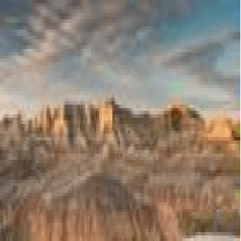 Stuart Krause PHD LLC