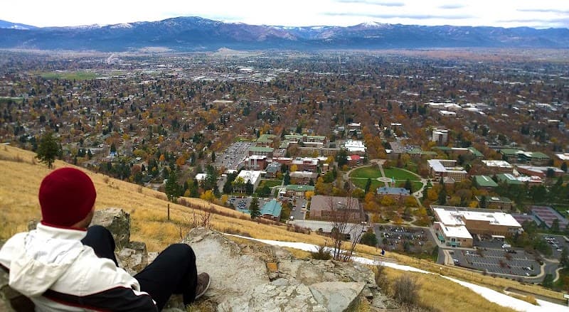 Sunflower Counseling Montana