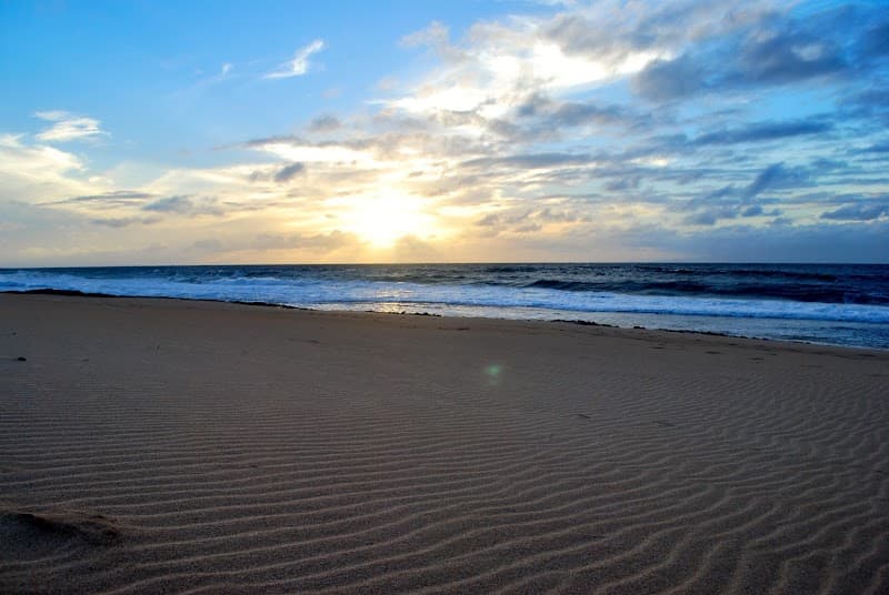 Sunshine Therapy, LLC