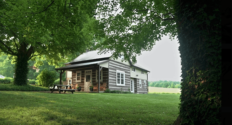 The Bridge To Recovery