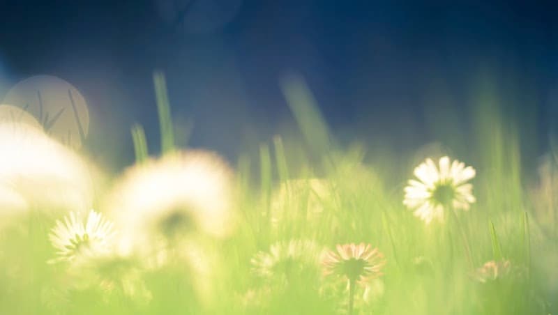 The Center for Hope and Healing Counseling