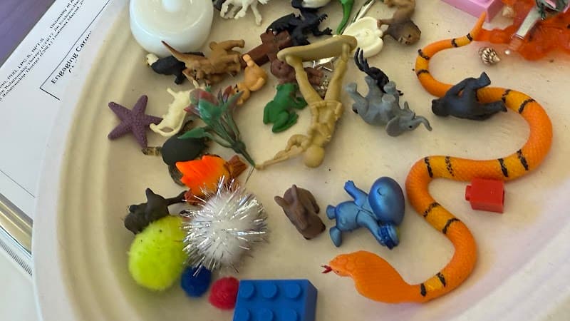 The Kid's Therapy Center, LLC