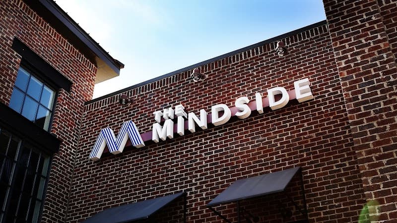 The MindSide