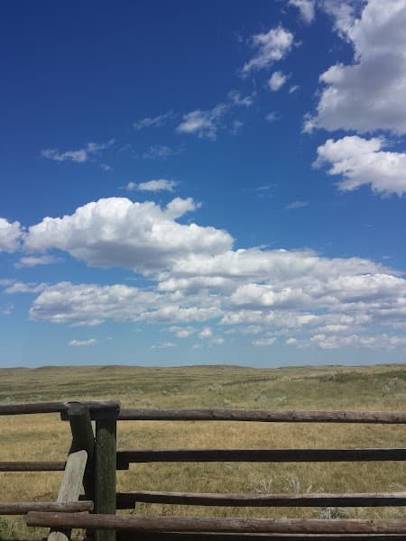 The People's Therapy Group