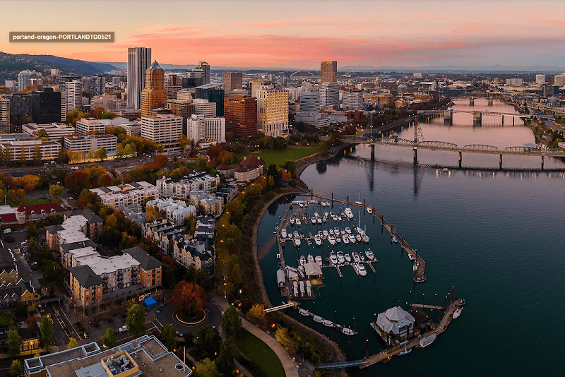 Thriving Center of Psychology