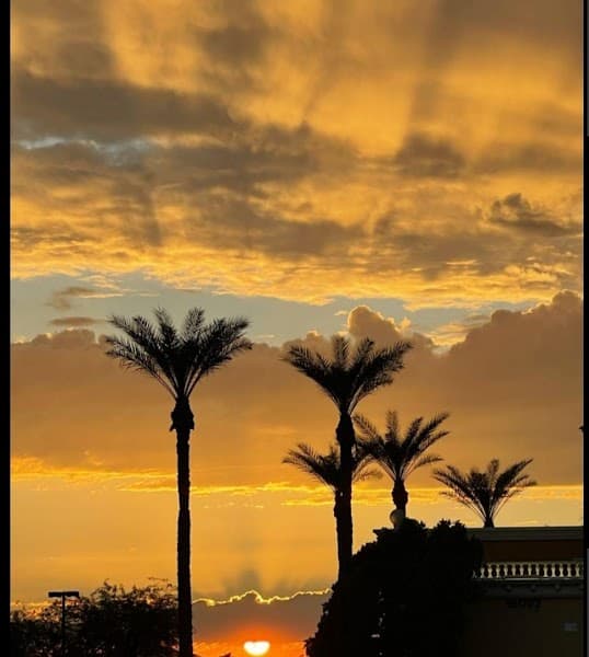 Thunderbird Oasis Counseling