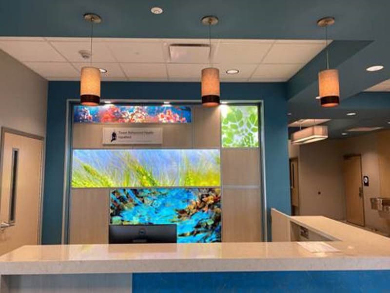 Tower Behavioral Health