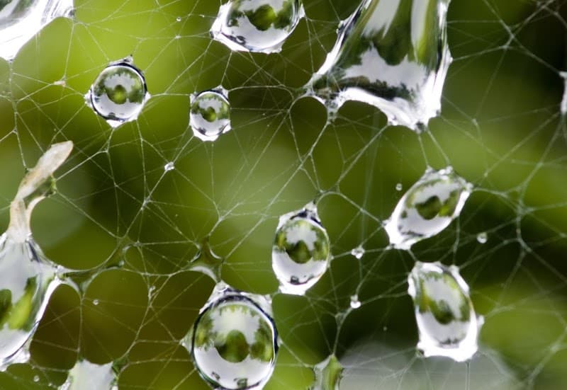 Valley View Family Counseling