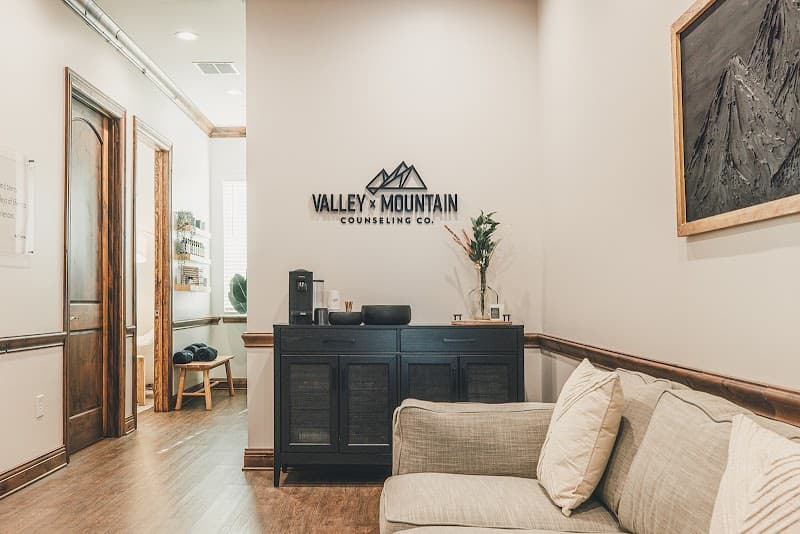 Valley x Mountain Counseling Co