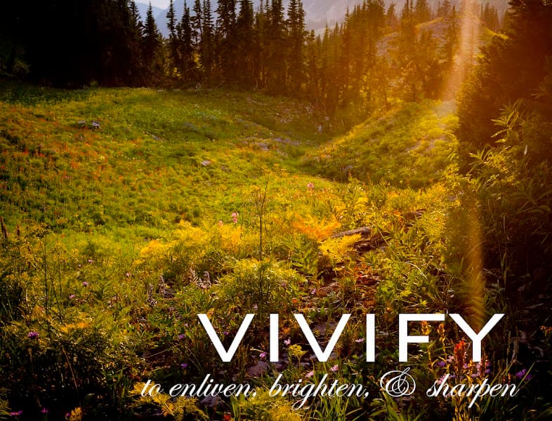 Vivify Counseling and Coaching