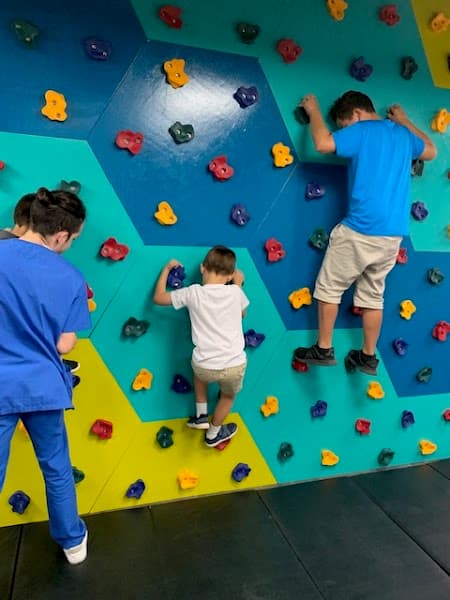 Wellcare Therapy Group, Inc.