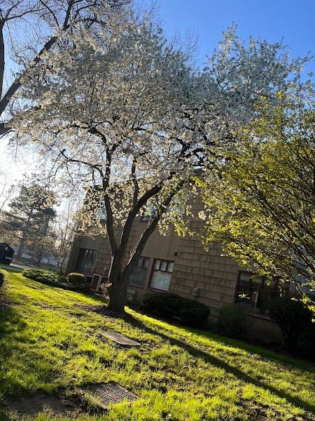 Whalen Integrative Therapy, LCSW, PLLC