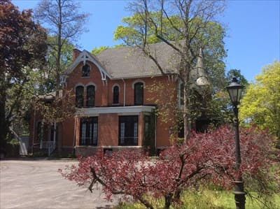 WHOLE Wellness Therapy Services