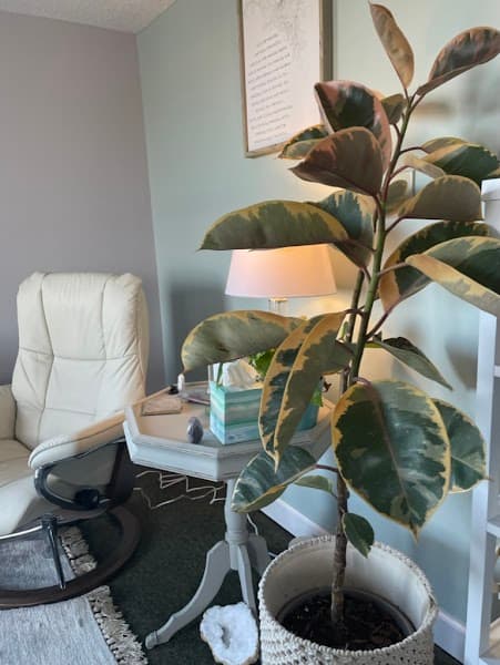 Wild Rose Counseling and Wellness Center