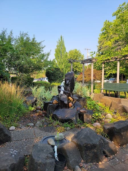 Willamette Vital Health