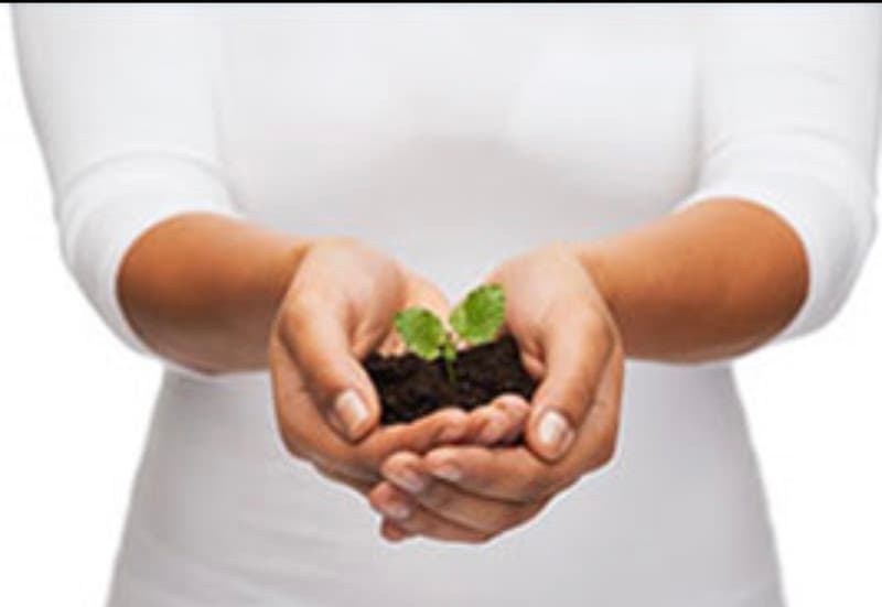 Wise Counsel Therapy LLC