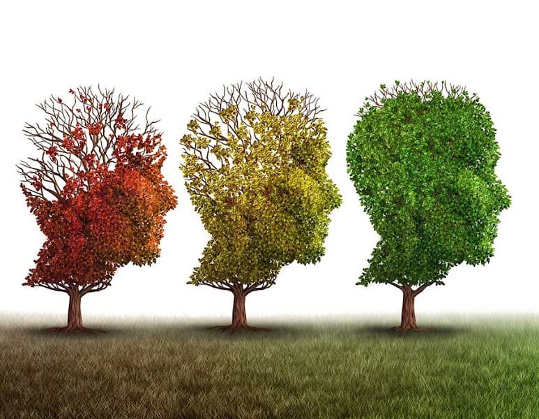 AM Nelson Counseling Services