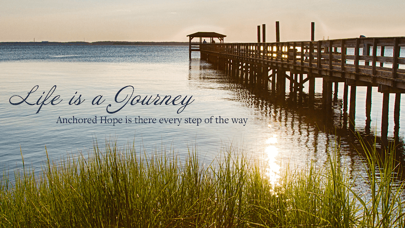 Anchored Hope Counseling - Dr. Deborah Braboy