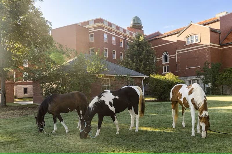 Arista Recovery: Addiction Treatment Center, Detox Center, Alcohol & Drug Rehab In Kansas