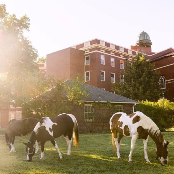 Arista Recovery: Addiction Treatment Center, Detox Center, Alcohol & Drug Rehab In Kansas