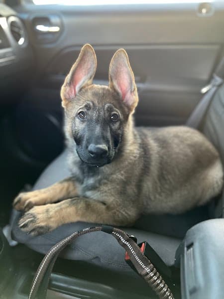 Arizona Family Therapy, LLC