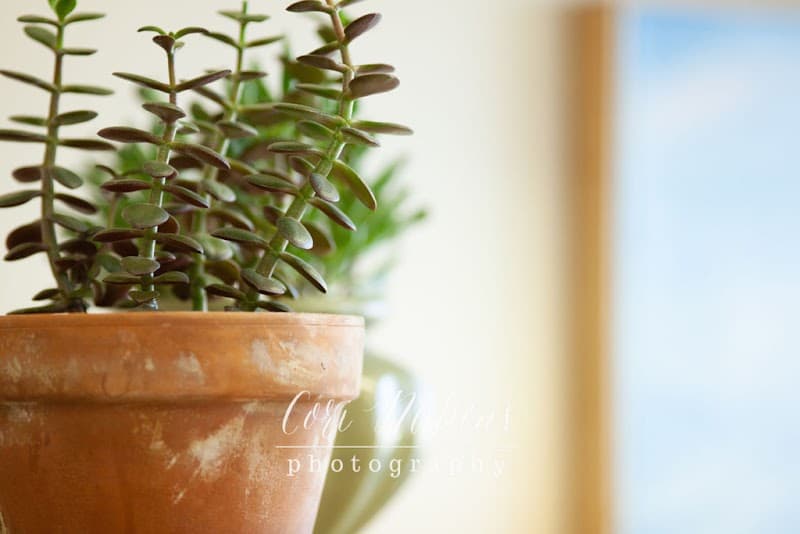 Art Therapy for Healing