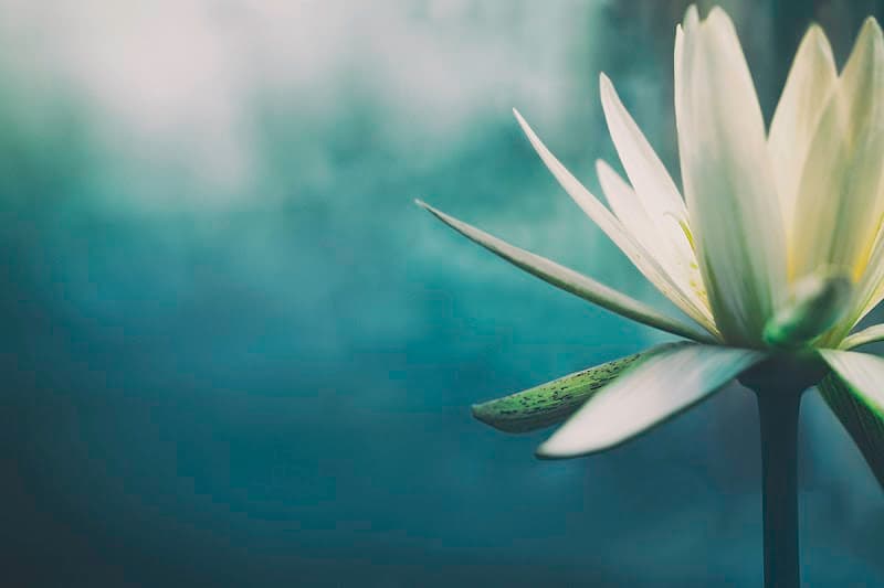 Atlanta Ketamine Center | Treatment for Depression, Anxiety, & PTSD