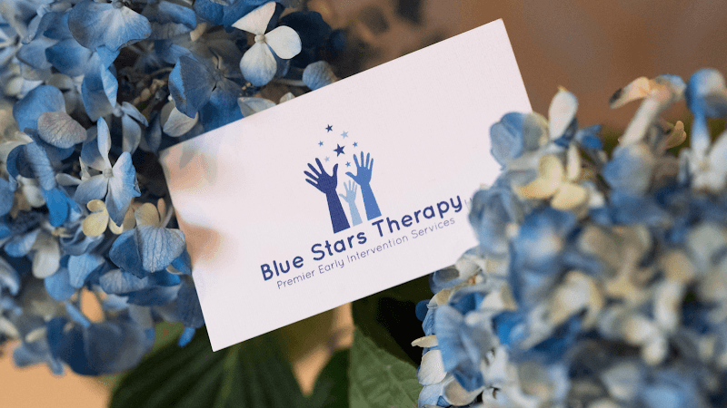 Blue Stars Therapy