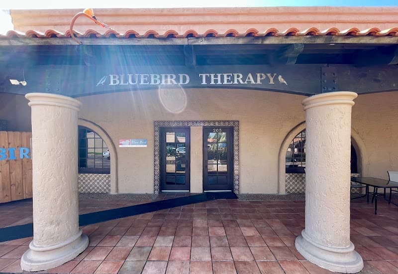 Bluebird Pediatric Therapy Services, Inc.