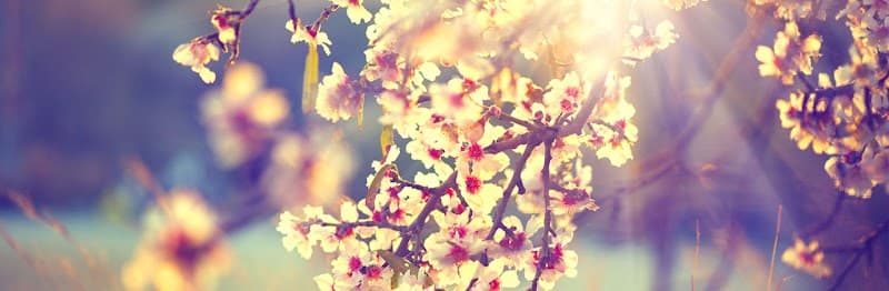 Bozeman Therapy & Counseling