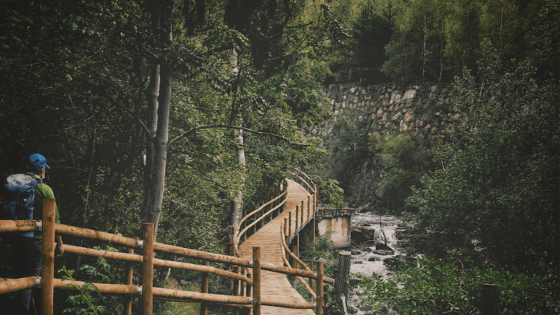 Bridge Family Therapy