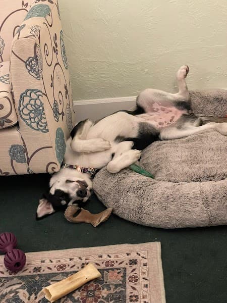 Carolee J Horning Counseling, LLC