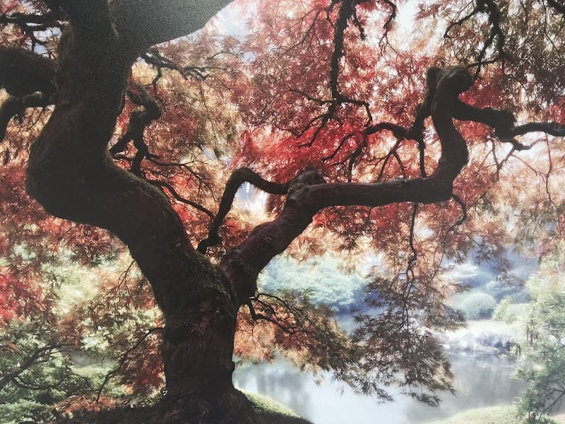 Dr. April Brown, LMHC, CST Relationship, Intimacy, And Sex Therapist