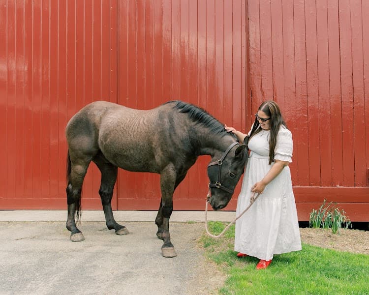 ESM Counseling and Consulting LLC