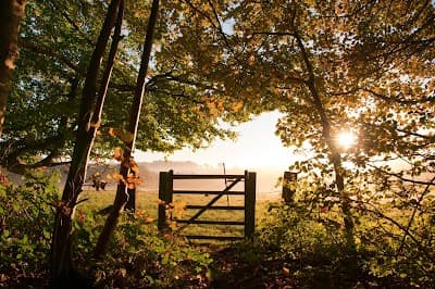 Gateway Psychiatric Services - San Francisco