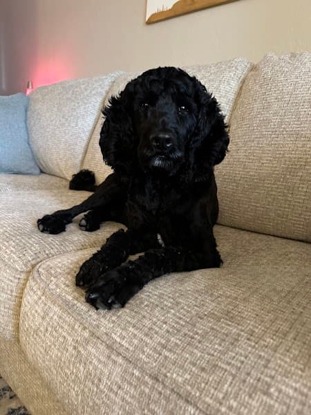 Healing Roots Therapy, LLC