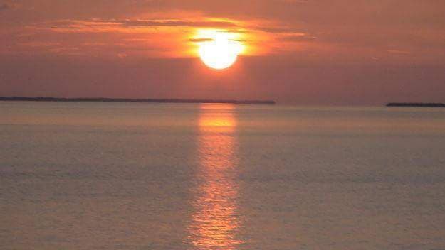 Holistic Intent Therapy- Maylin Batista, Ph.D, LMHC *Licensed practitioner of the healing arts