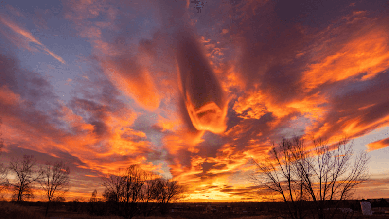 Inner Light Counseling PLLC | Rachel Webb | Anxiety, Depression, Immigration