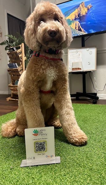 Latino Kids and Family Mental health