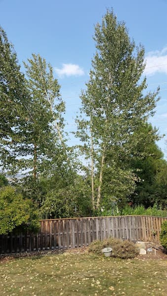 OnTrack Rogue Valley | Comprehensive Behavioral Health Treatment for Substance Use & Mental Health Conditions