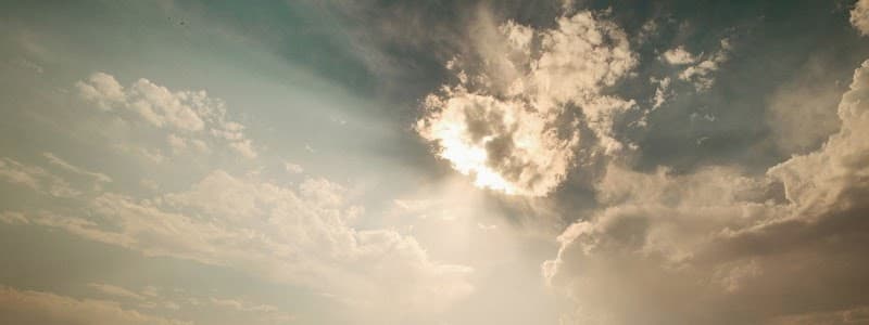 Reclaimed Counseling