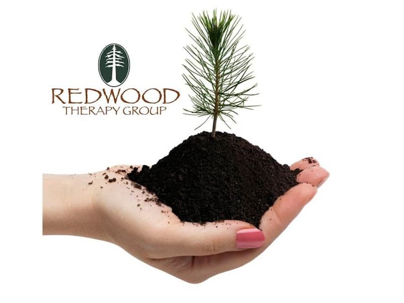 Redwood Therapy Group