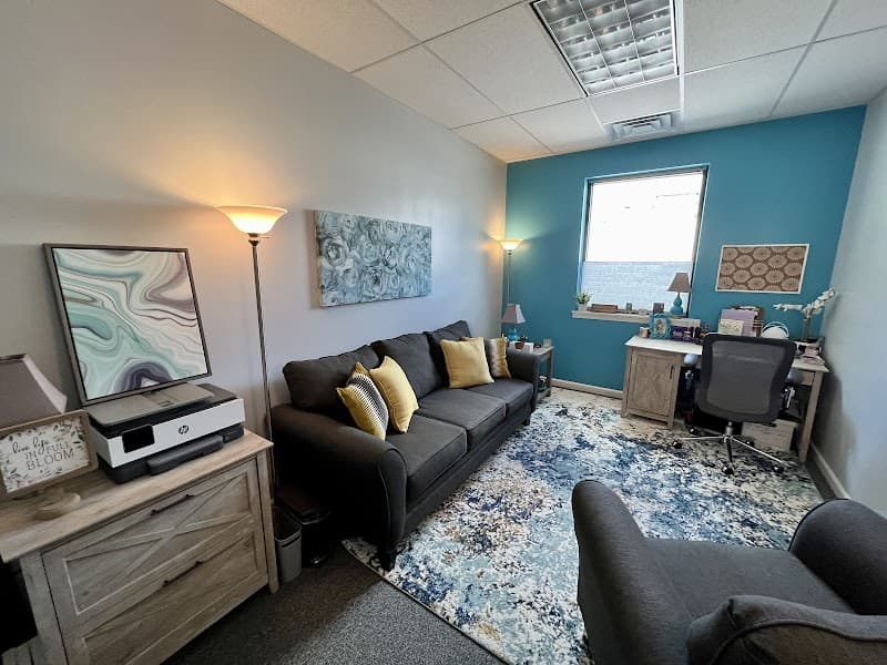 Silver Lining Mental Health Counseling (Emily Rein, LMHC)