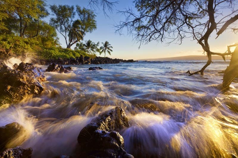 Stephanie Dodge, PhD