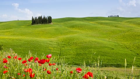 The Foundation for Photo/Art in Hospitals