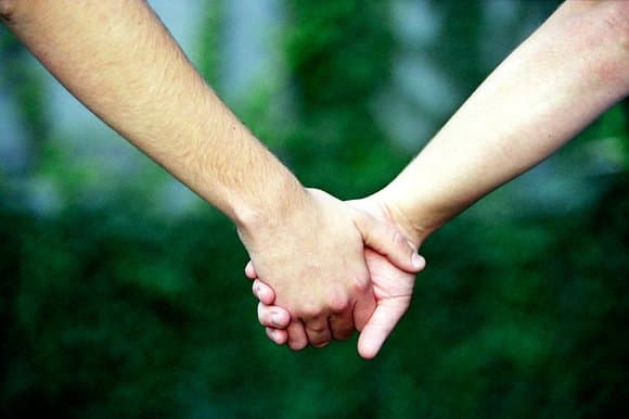 The Olive Tree Center for Child and Family Psychology, LLC