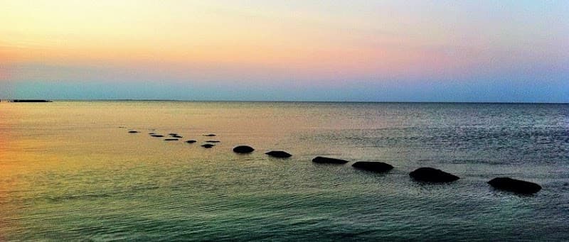 Therapy of New Orleans